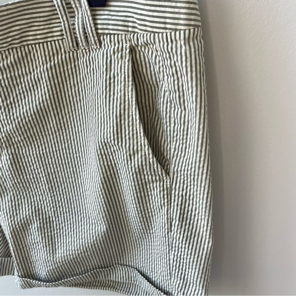Banana Republic Sage Green Cream Striped Shorts - Picture 6 of 12
